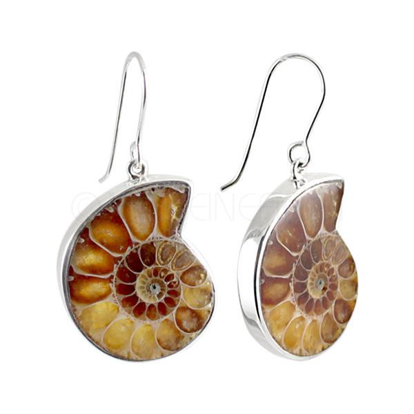 Ammonite Drop Earrings